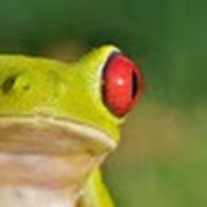 Meet your Posher, Tasha